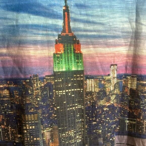 TRUE ROCK Cityscape V-Neck Tee - Blue and White L - Picture 12 of 16